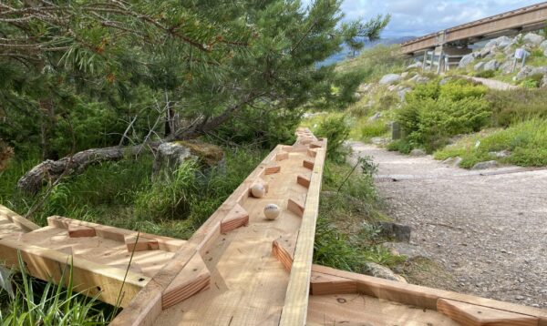 Wooden ball runs near Aviemore