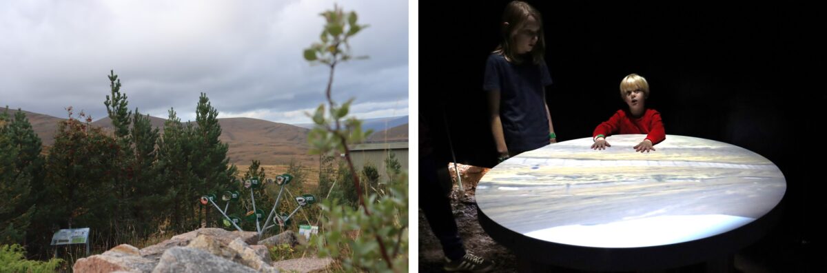 Mountain garden at Cairngorm Mountain