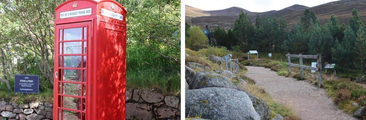 Mountain Garden and phone box at Cairngorm Mountain